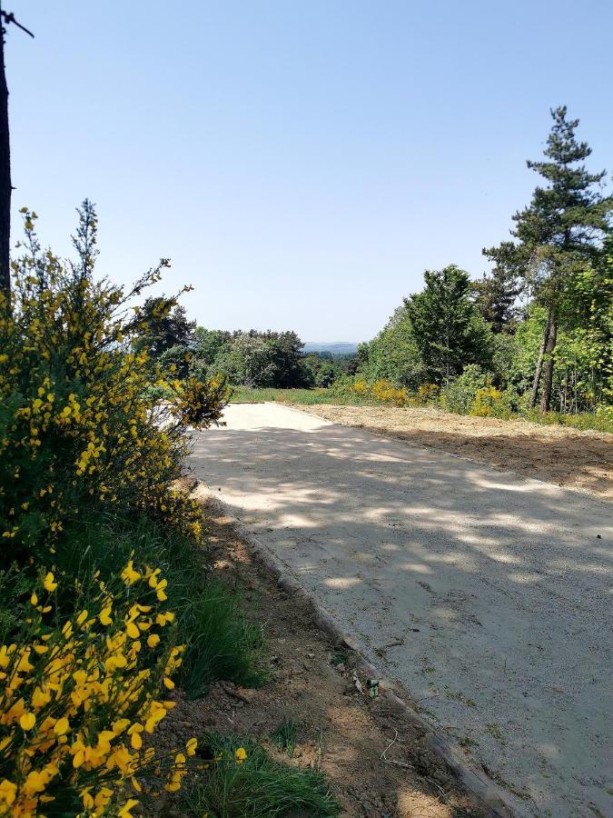 Chez Marius Villa Saint-Agrève Dış mekan fotoğraf